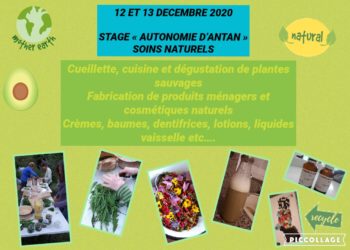 STAGE « AUTONOMIE D’ANTAN » 12 et 13 décembre 2020