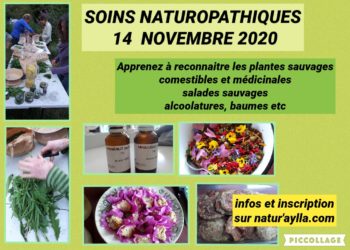 14 Novembre sur GAN: Soins naturopathiques                 départ 09h30 – 16h