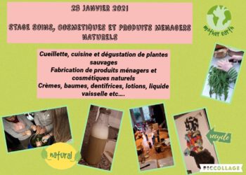 STAGE FABRICATION DE PRODUITS COSMETIQUES ET MENAGERS NATURELS