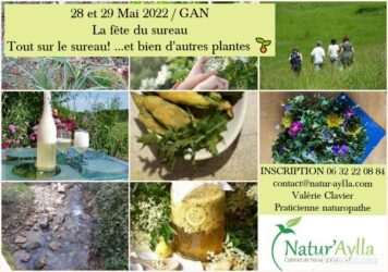 LA FETE DU SUREAU / STAGE DE RECONNAISSANCE DE PLANTES SAUVAGES COMESTIBLES ET MEDICINALES 28  ET 29 MAI 2022