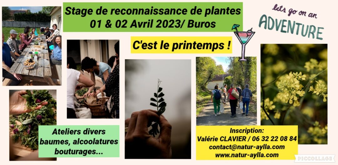 STAGE DU 01 & 02 AVRIL / Buros / C’est le printemps !