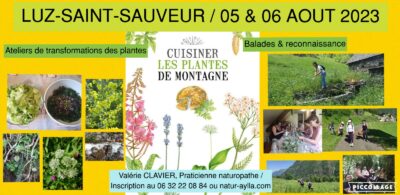 Cuisiner les plantes sauvages de montagne 5 & 6 aout 2023, balade, cueillette et ateliers sur Luz-Saint-Sauveur (65)
