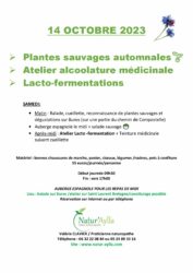 14 OCTOBRE 2023 / PLANTES SAUVAGES D’AUTOMNE + LACTO-FERMENTATION