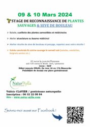 PLANTES SAUVAGES 🌱ET SEVE DE BOULEAU 💦09 & 10 MARS 2024