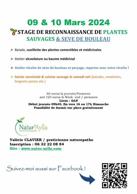 PLANTES SAUVAGES 🌱ET SEVE DE BOULEAU 💦09 & 10 MARS 2024