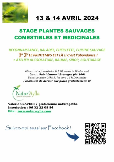 STAGE de printemps! reconnaissance de plantes 🌱 13 & 14 avril 2024