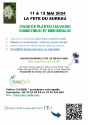 La fête du sureau 2024 🌱1 journée ou 2