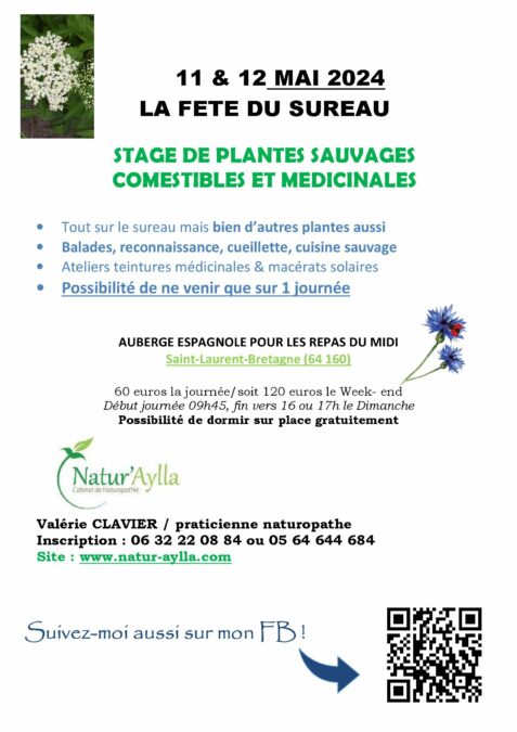 La fête du sureau 2024 🌱