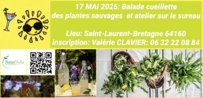 17 MAI: BALADE CUEILLETTE RANDO ET FETE DU SUREAU A ST-LAURENT-BRETAGNE 64160
