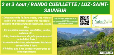 2 et 3 Aout 2025: stage de plantes sauvages comestibles et médicinales en montagne / Luz-Saint-Sauveur