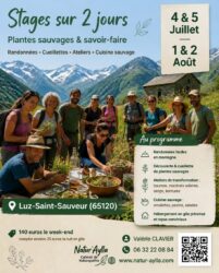 4 et 5 Juillet + 1 et 2 Aout LUZ SAINT SAUVEUR: plantes sauvages de montagne