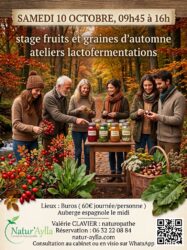 10 octobre,plantes sauvages, graines et fruits d’automne, atelier lactofermentation ».